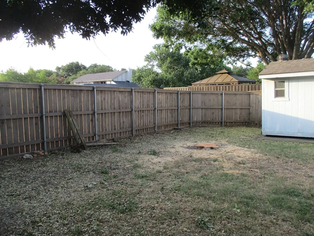 Cleared yard after professional tree removal in Milford